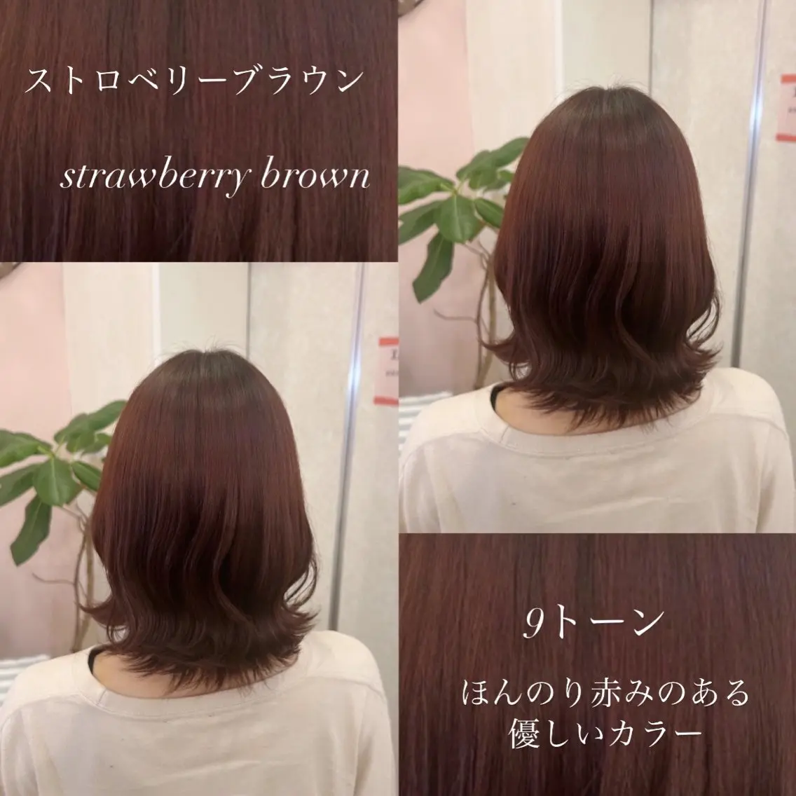 ミディアム カラー 韓国ヘア🧸髪質改善 🧸きくちみさきのヘアスタイル