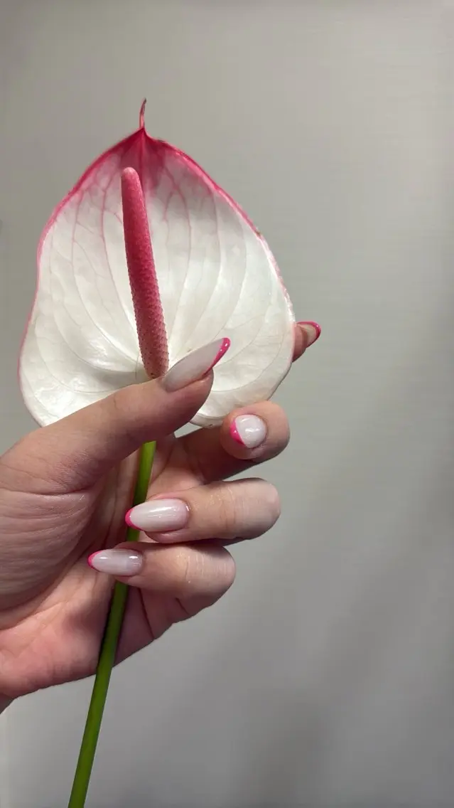 ネイル フラッシュネイル フラッシュマグ フットネイル フレンチネイル 韓国ネイル ハンドネイル SAKU nail 作島茜のネイルデザイン