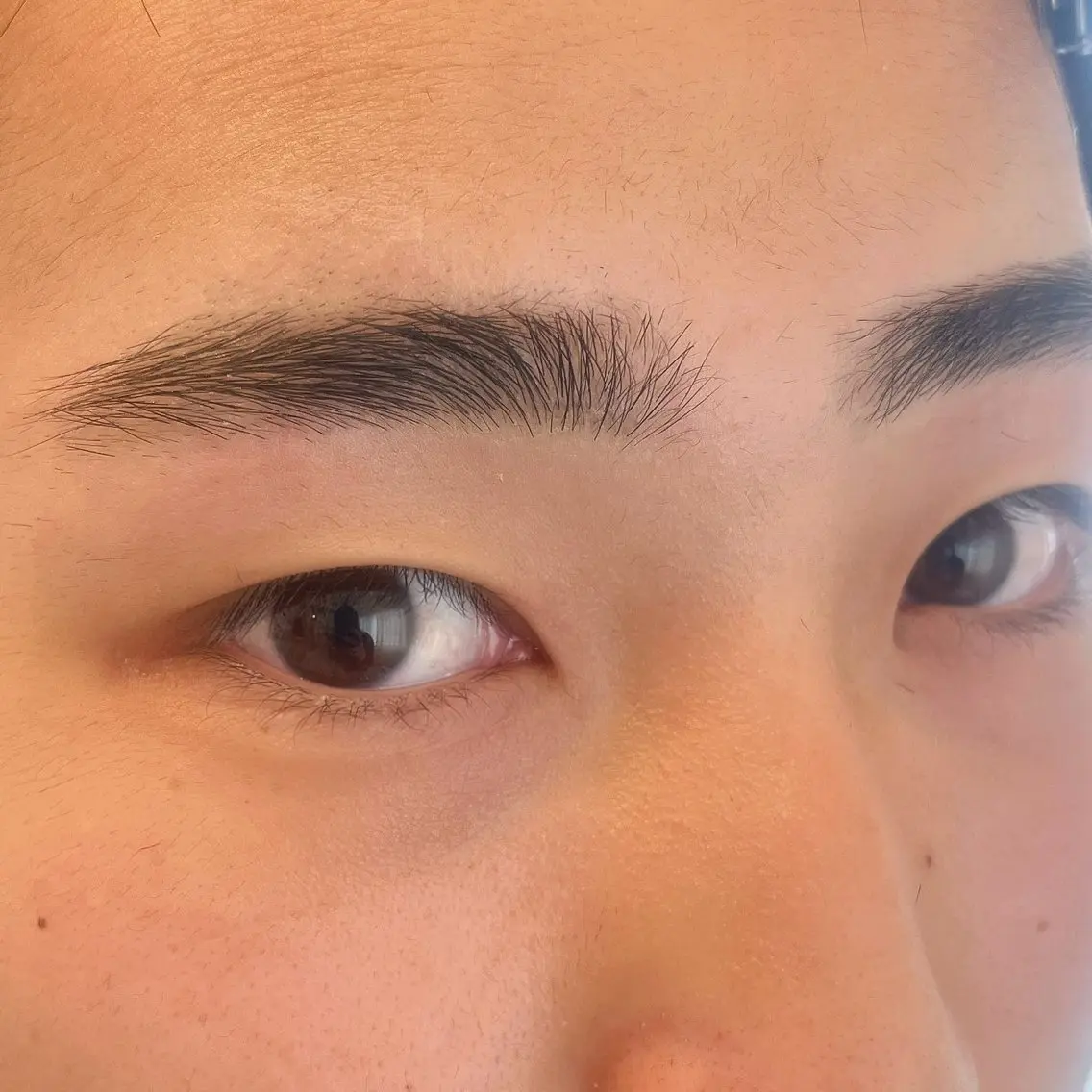 メンズ アイブロウ メンズアイブロウ LELEGANCE eyelashの眉毛・アイブロウイメージ
