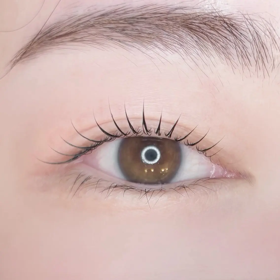 マツエク・マツパ ：O 🛋️ eye designのマツエク・マツパデザイン