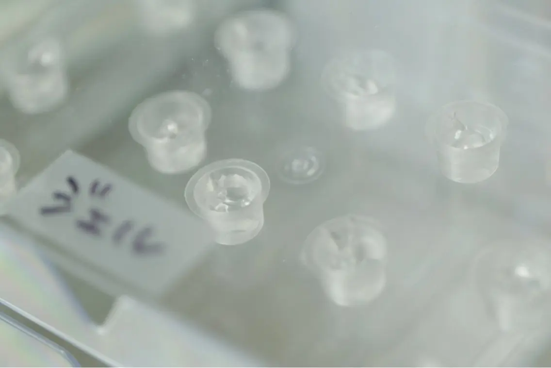 その他 セルフホワイトニング 都立大学🦷✴︎のその他イメージ