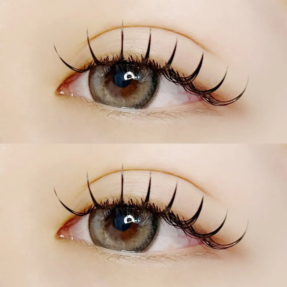 フラットラッシュ100本の写真