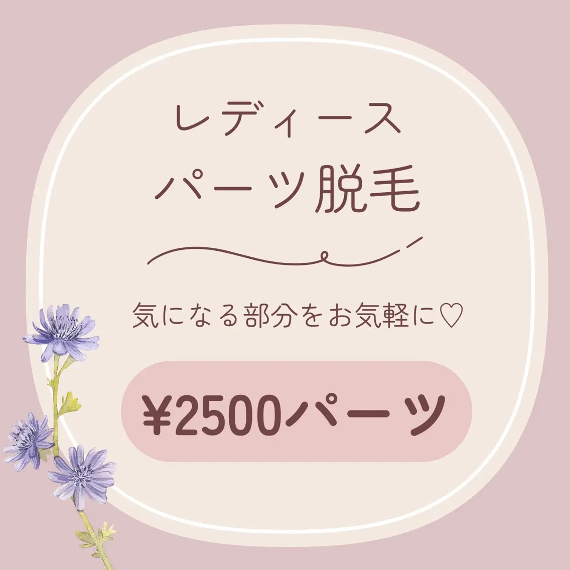 レディース┊ パーツ脱毛┊ 各¥2500パーツの写真