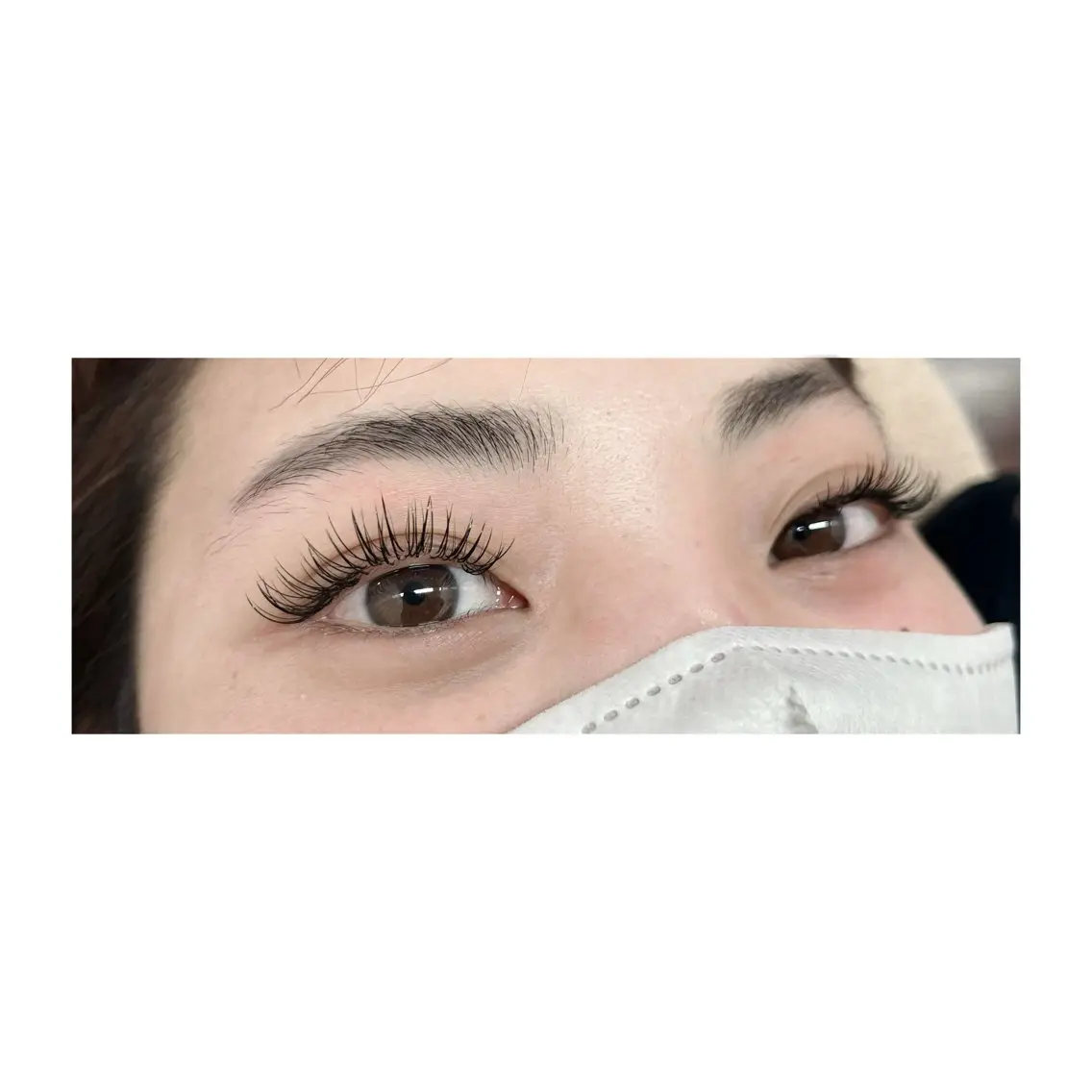 ✨持続力No. 1✨バインドロック60束(120本)オフ込みの写真