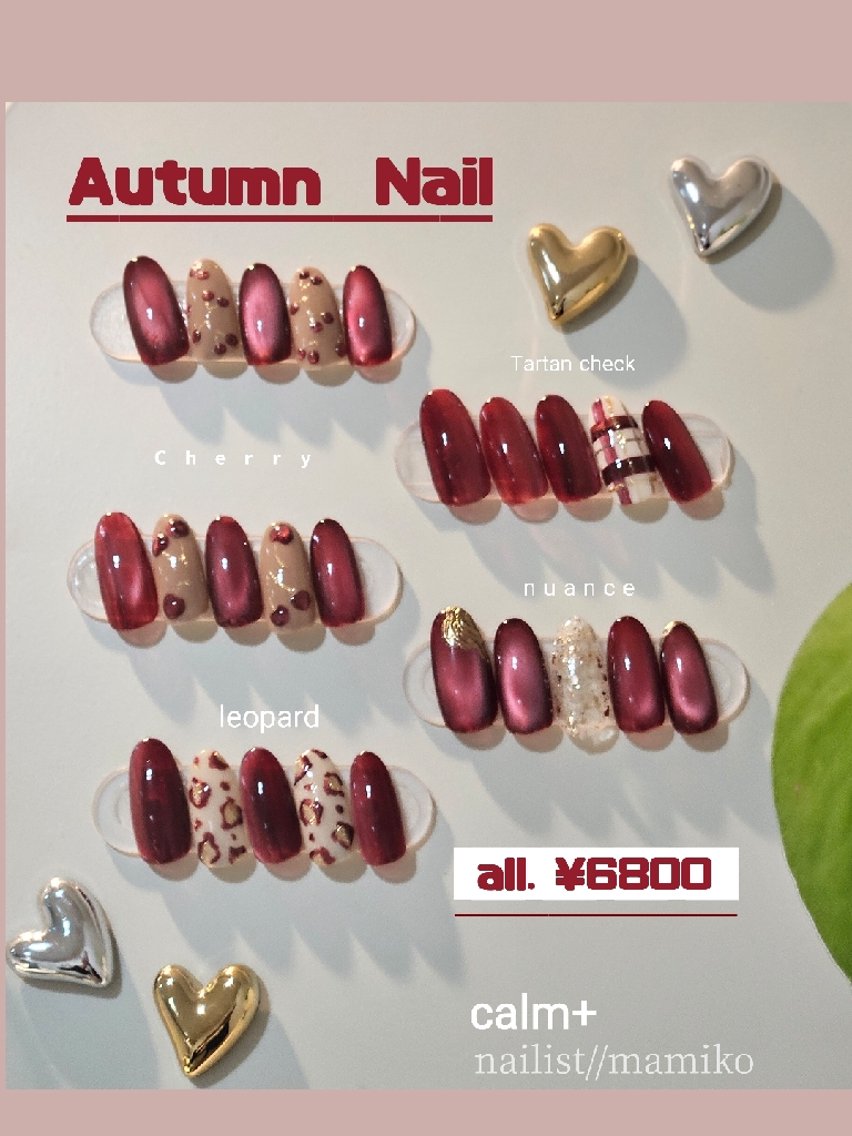 ネイル アートネイル ボルドー マグネットネイル ハンドネイル nail salon calm+ 渡部のネイルデザイン