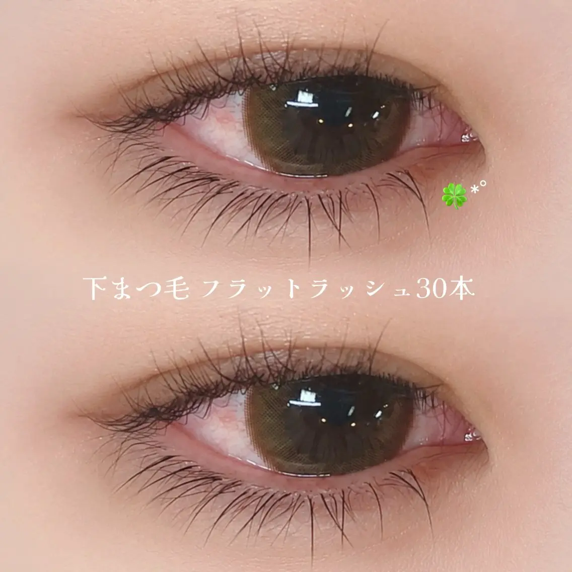 💝下まつげフラットラッシュ30本💝の写真