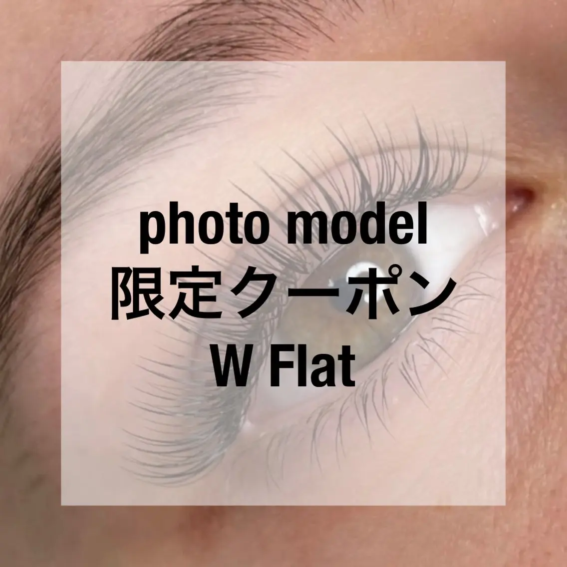 𝜗𝜚 photo model 𝜗𝜚 Wフラット 80束の写真