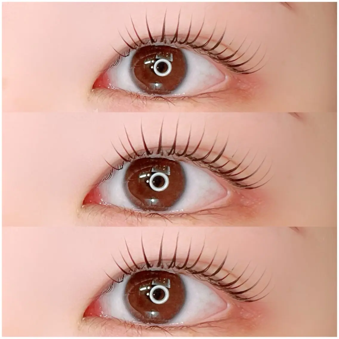 【練習モデルメニュー】 まつパorパリジェンヌ🧡3,000円の写真