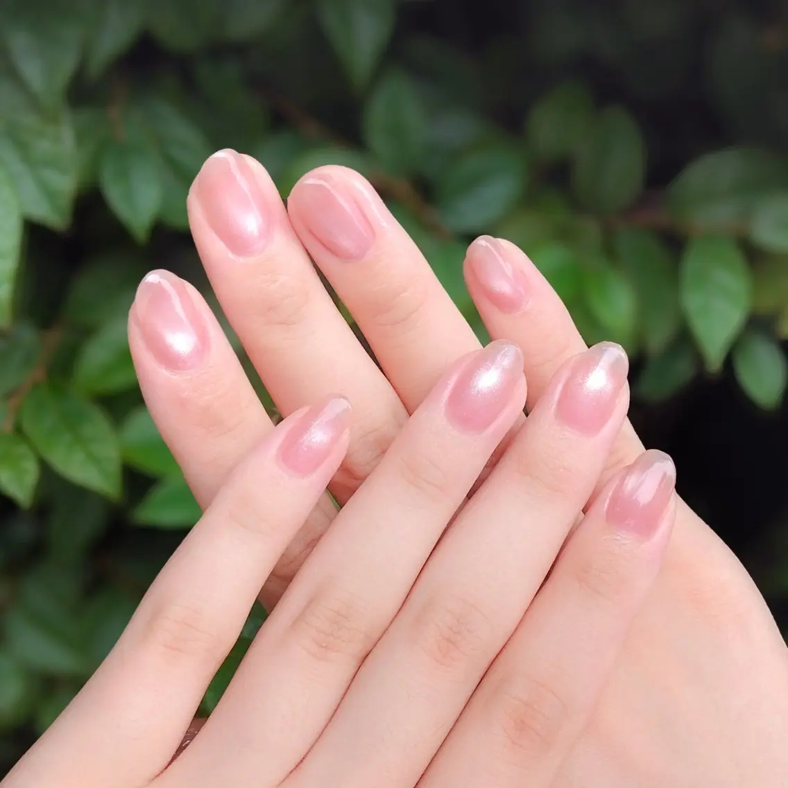 ネイル 氷ネイル・うるうるネイル マグネットネイル LEFTNAILS フィルインニュアンスのネイルデザイン