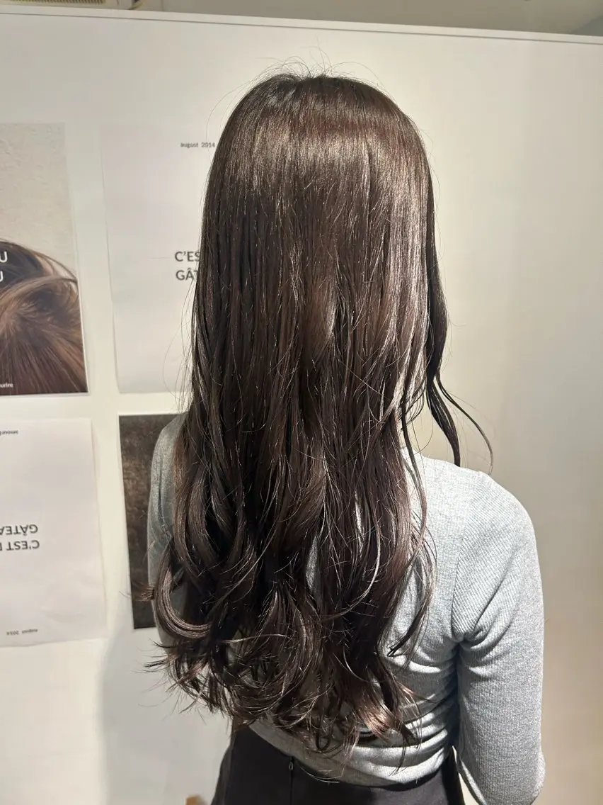 ロング カラー ブラウンカラー チョコレートブラウン 透明感カラー ボブ/レイヤー ナカミネアキナのヘアスタイル
