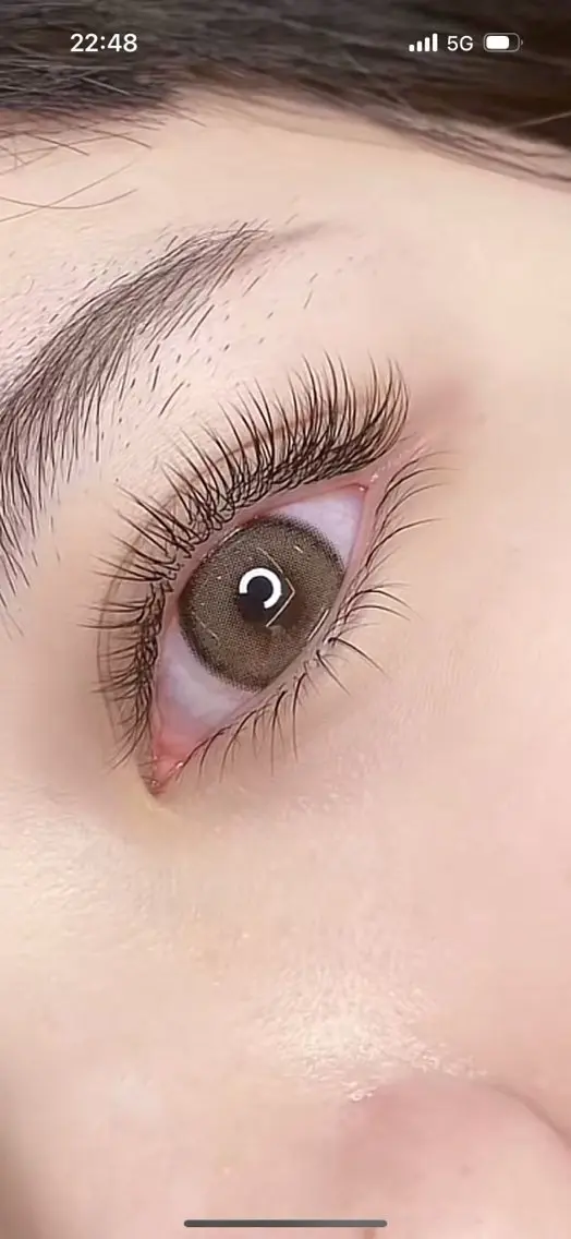 ブラットラッシュ120本の写真