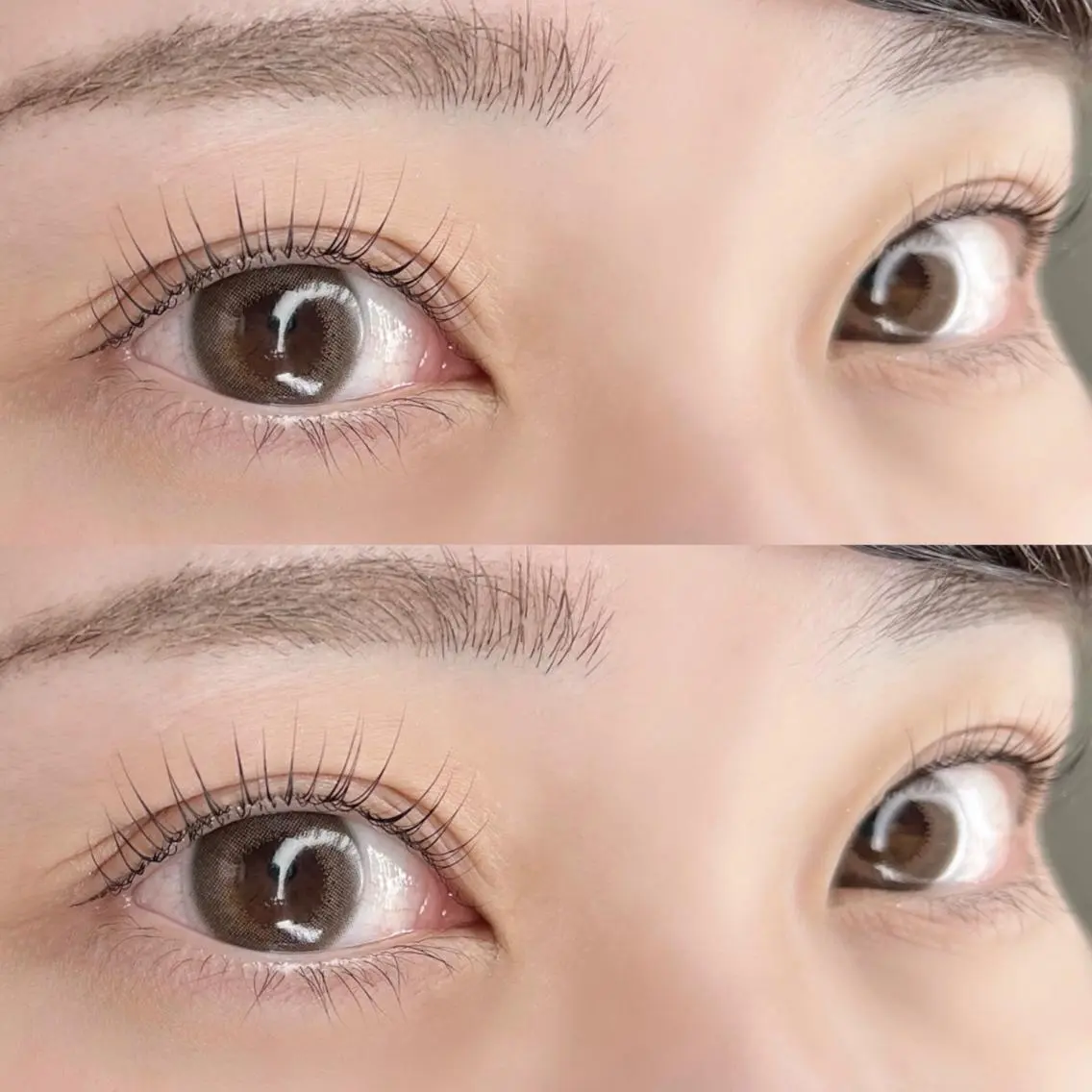 マツエク・マツパ パリジェンヌラッシュリフト マツパ 【LILY】伊沢/ バインド/パリ/エクのマツエク・マツパデザイン