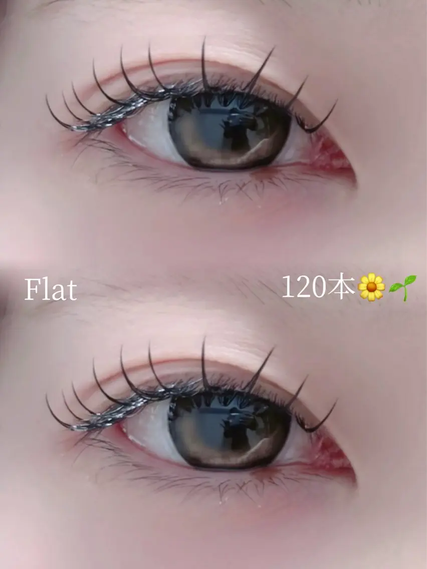 【新規】フラットラッシュ両目120本👀❣️の写真