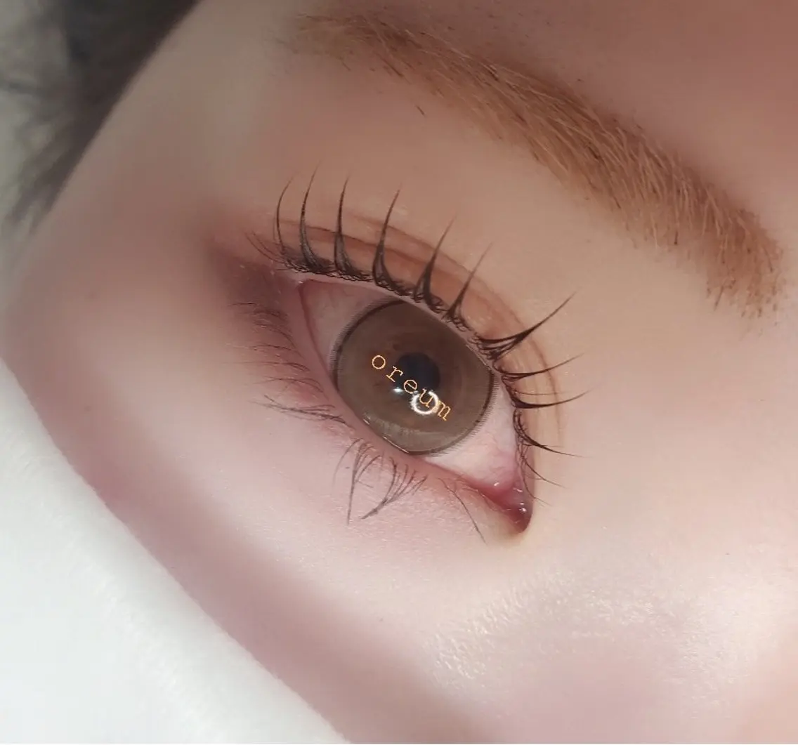 マツエク・マツパ 束感まつ毛 Cカール 韓国風マツエク 🎀eyelash &aestheticのマツエク・マツパデザイン