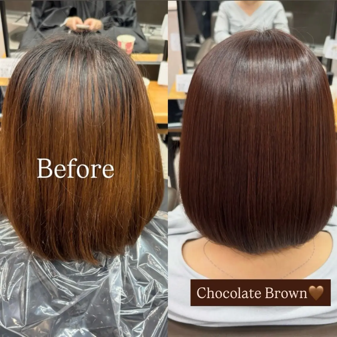 ショート カラー ブラウンカラー チョコレートブラウン オリーブブラウン 似合わせカット ヘアカラー 艶カラー✨️髪質改善 🪽縮毛矯正mamiのヘアスタイル