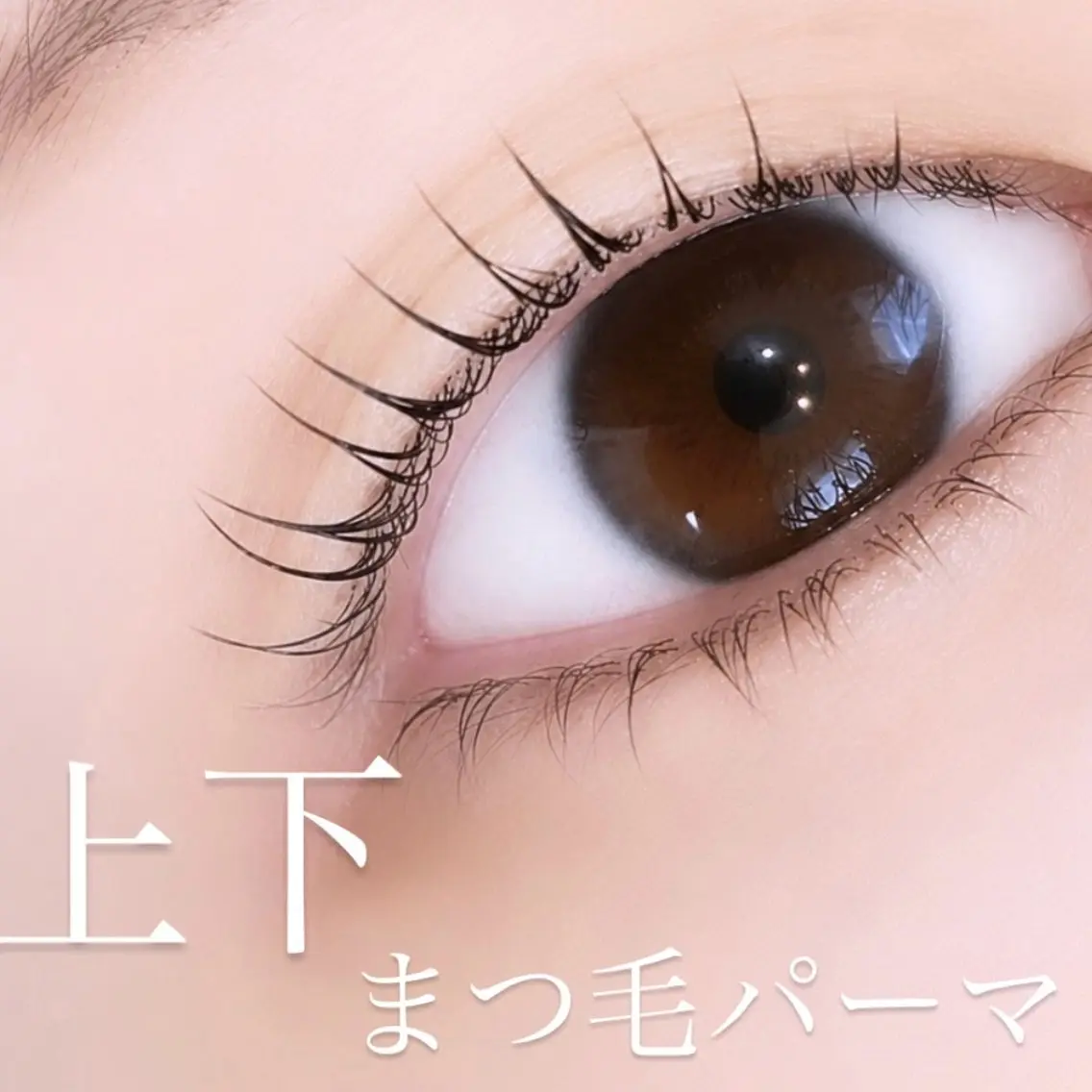 【New🌟ダメージレス美睫毛】 上下まつげパーマ➕ケラチンWトリートメントの写真