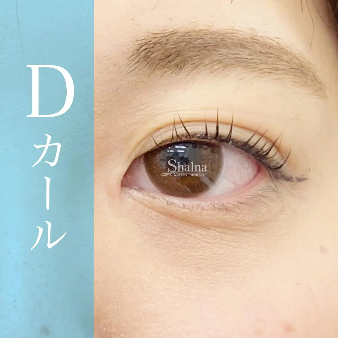 マツエク・マツパ Dカール まつげパーマ まつげパーマ専門店 シャルナ 新宿店のマツエク・マツパデザイン