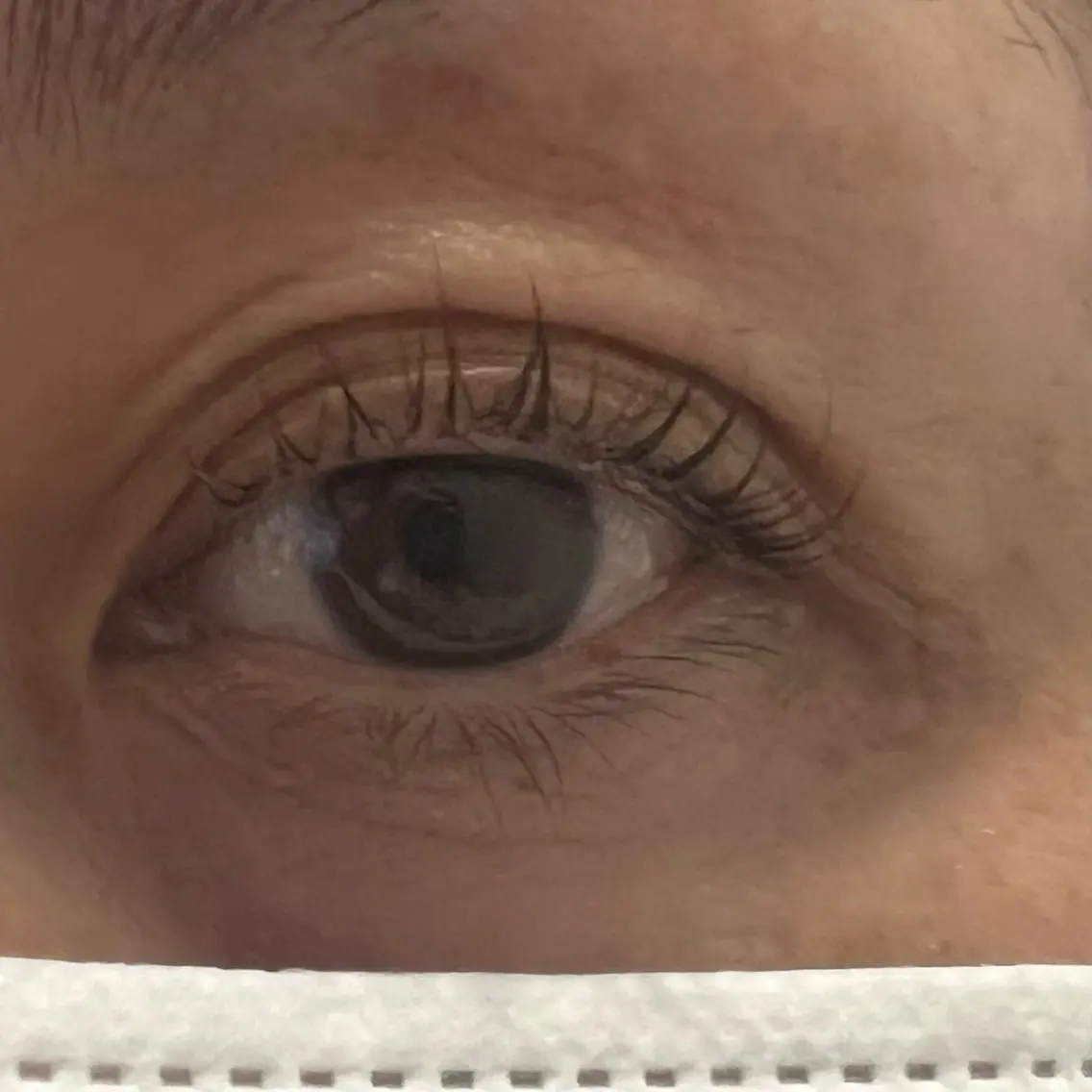 マツエク・マツパ WHITE EYE Maoの眉毛・アイブロウイメージ