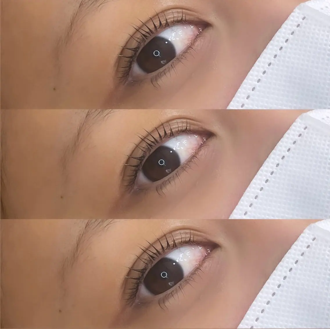 マツエク・マツパ 束感まつ毛 下まつげエクステ 一重×まつ毛パーマ eyelist ✵ Itsukiの眉毛・アイブロウイメージ