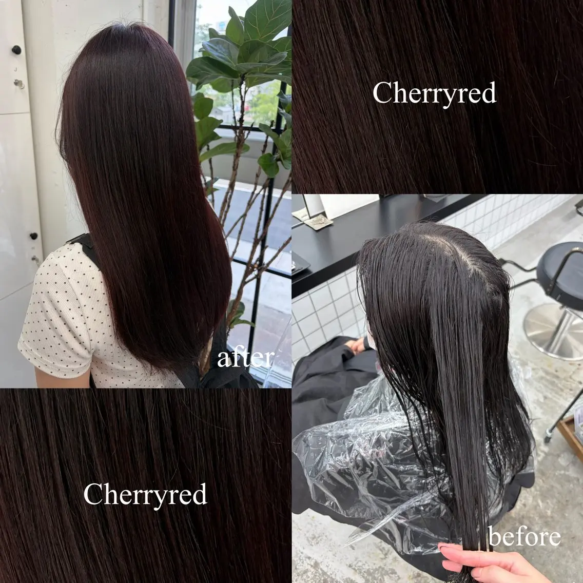 ミディアム カラー ボルドーカラー ブラウンカラー レッドカラー カット ヘアカラー 🍊あすか🍊 JILLSTUDIOのヘアスタイル