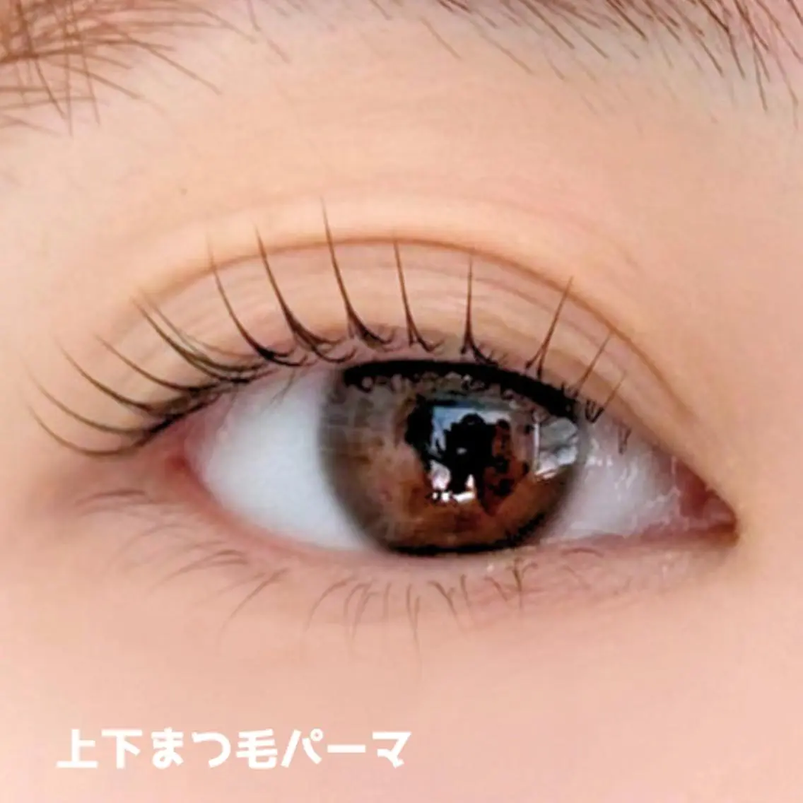 マツエク・マツパ ナチュラル 一重×まつ毛パーマ franfika かりごめのマツエク・マツパデザイン