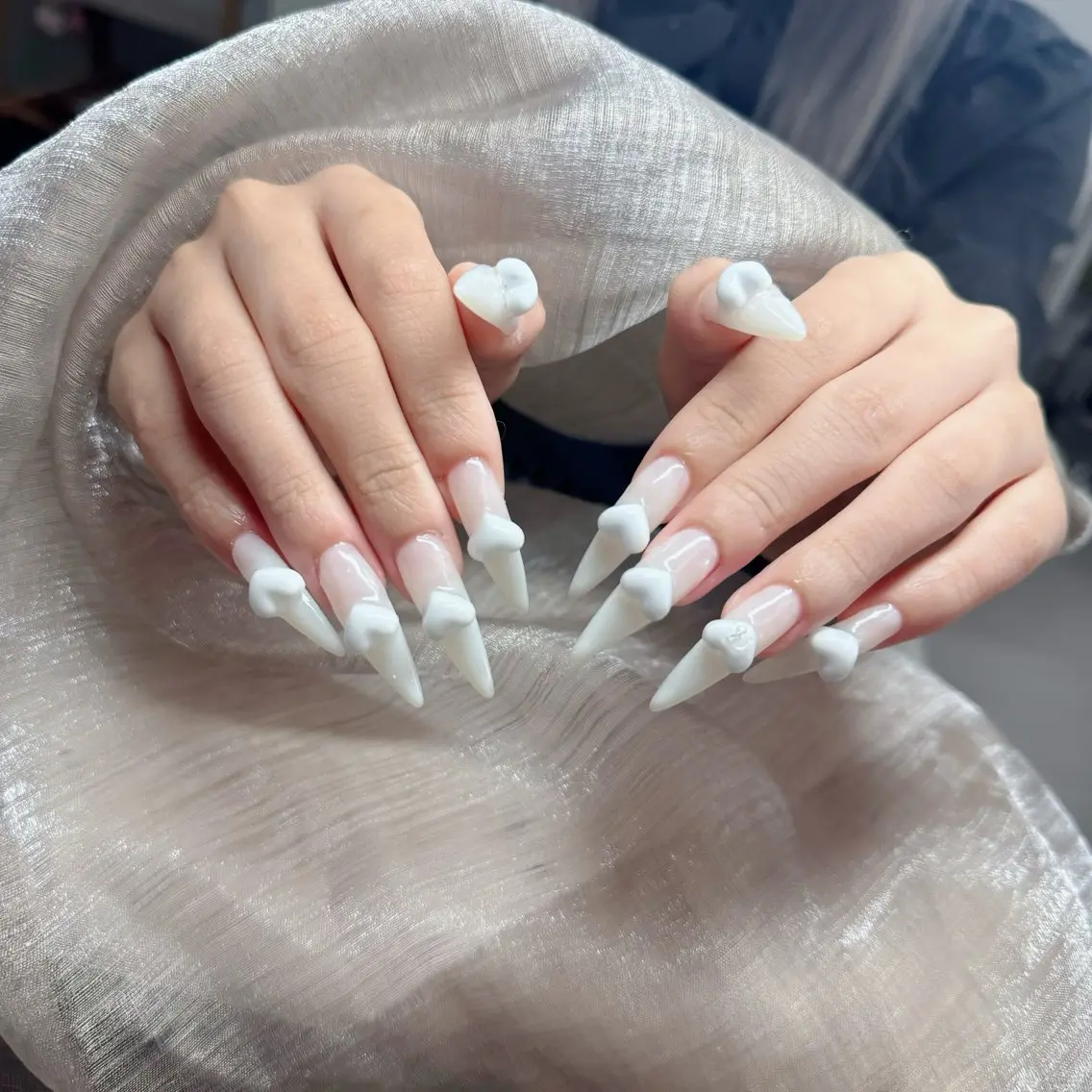 ネイル ジェルネイル 韓国ネイル マグネットネイル ネイルチップ 冬ネイル Lenie Nail Salonのネイルデザイン