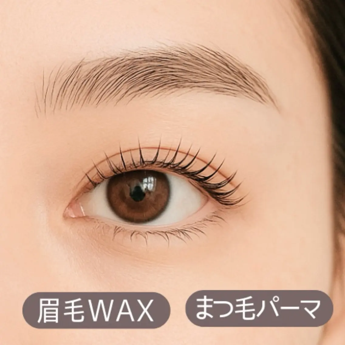 まつ毛パーマ&眉毛Waxの写真