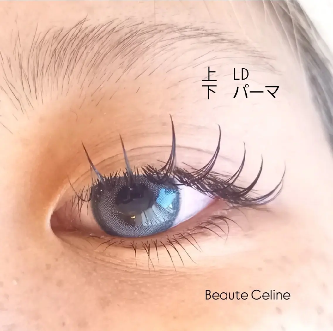 マツエク・マツパ Dカール マツエク LED✨beaute Celine🌛🌹のマツエク・マツパデザイン