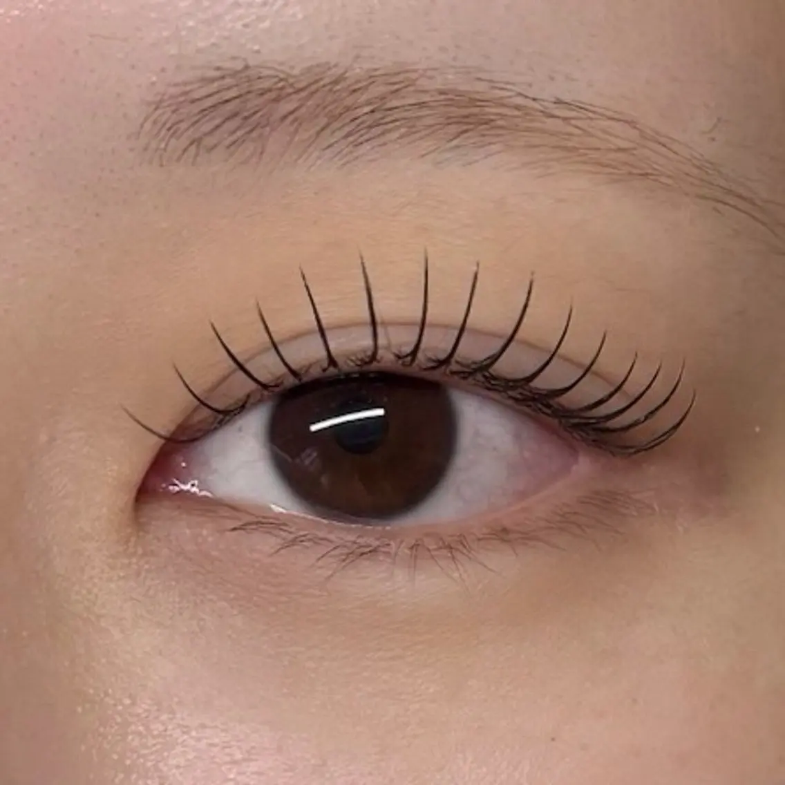 【パリエク】パリジェンヌ×LEDフラットラッシュ80本まで🇫🇷の写真