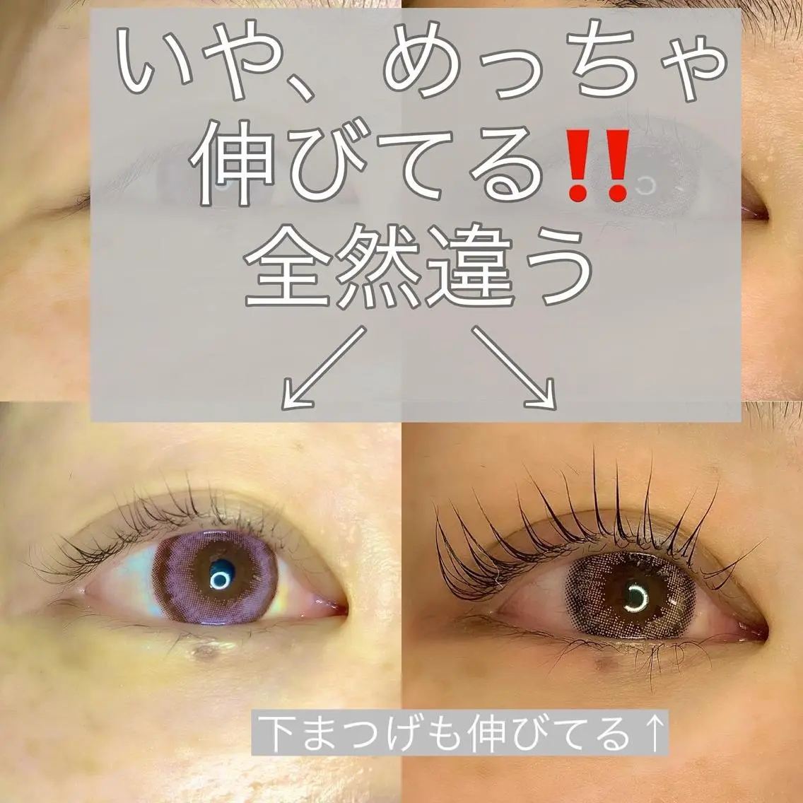マツエク・マツパ Pua Meliaのマツエク・マツパデザイン