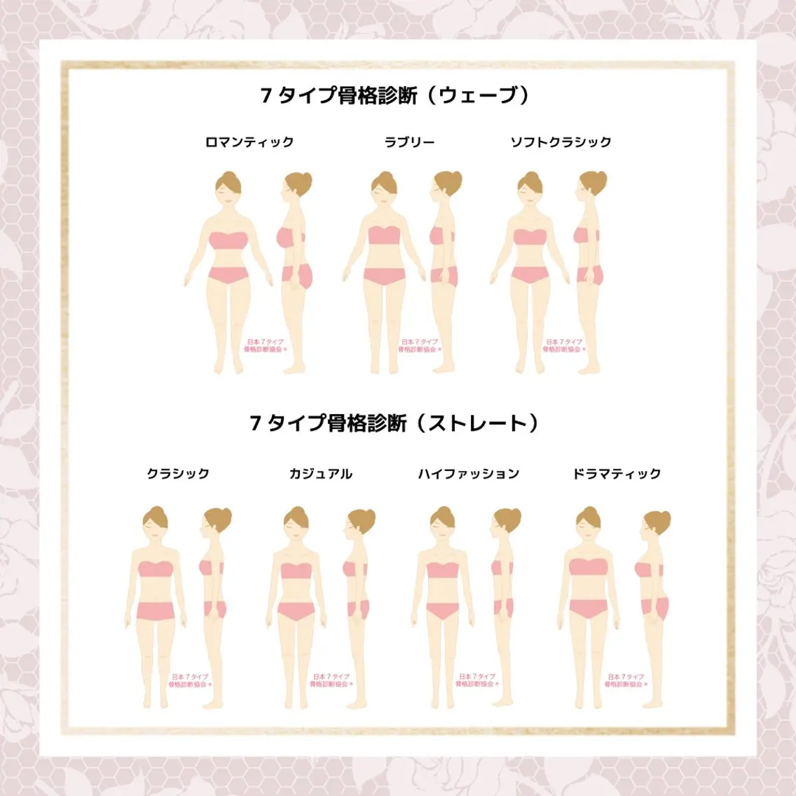 7タイプ骨格診断の写真