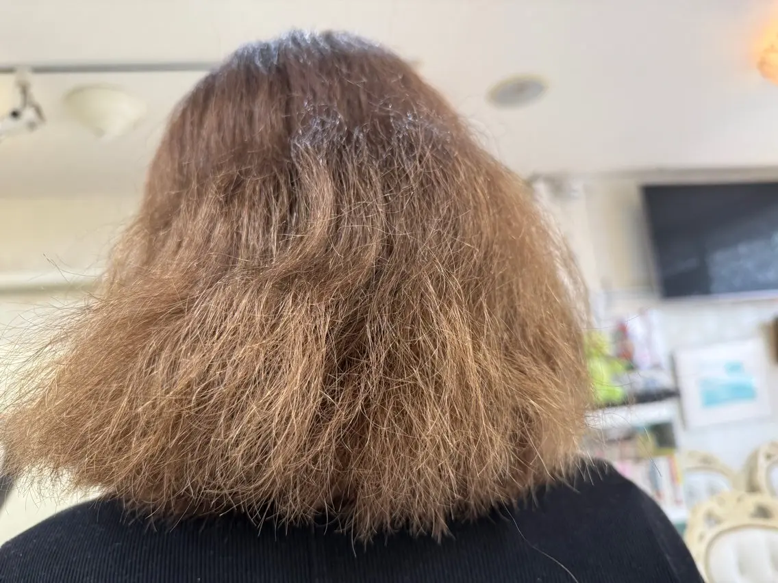 ロング ウィリアム シュウのヘアスタイル
