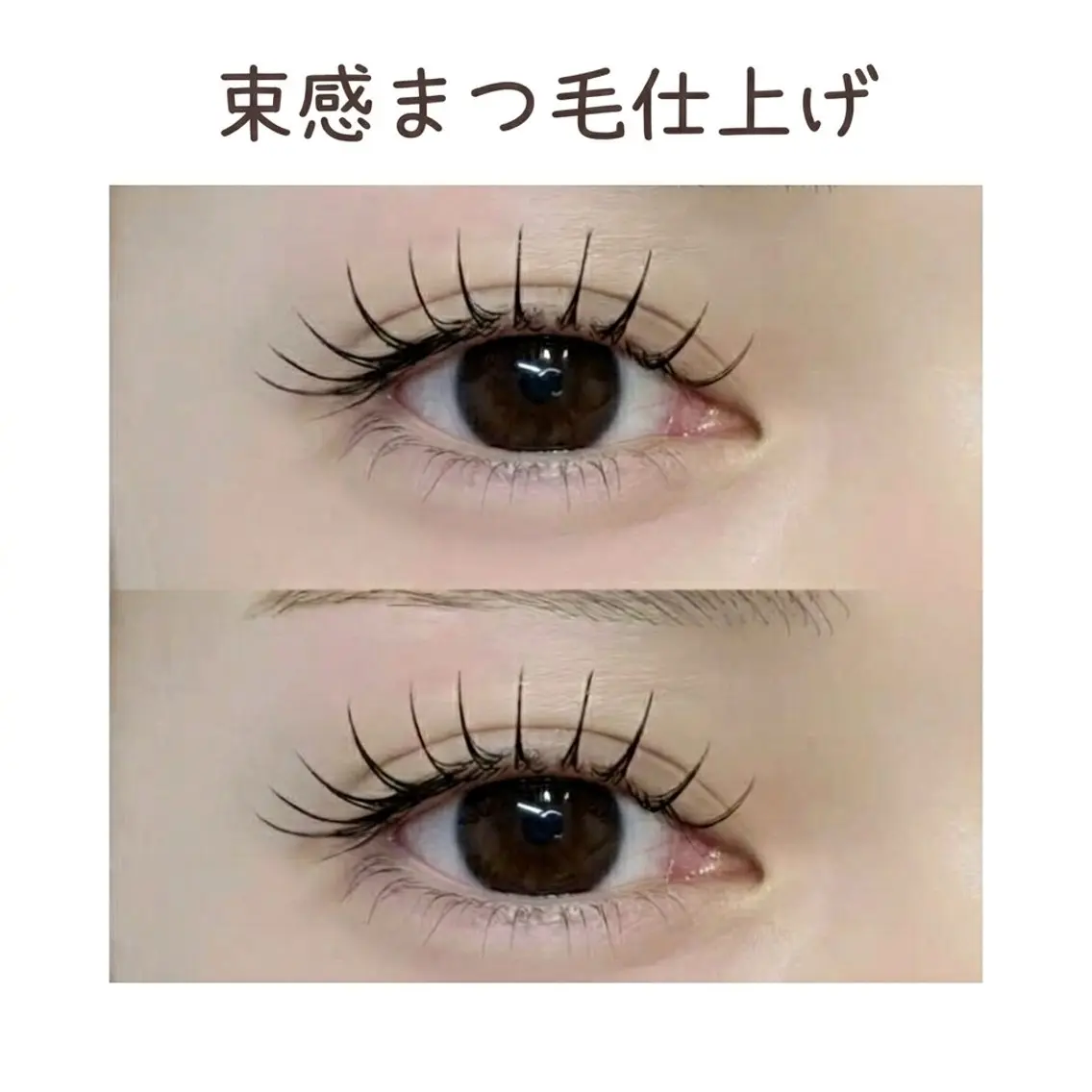 セーブルエクステ 100本の写真