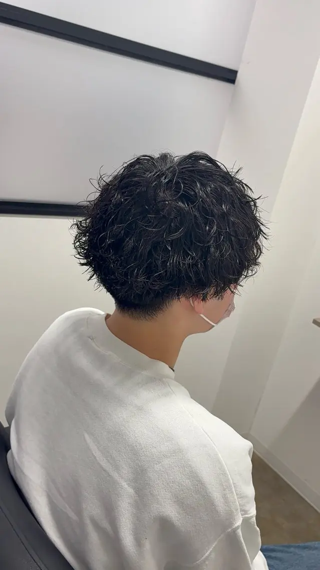 メンズ 波巻きパーマ カット パーマ トリートメント ケアパーマ/波巻き/ プードル/武田一馬のヘアスタイル