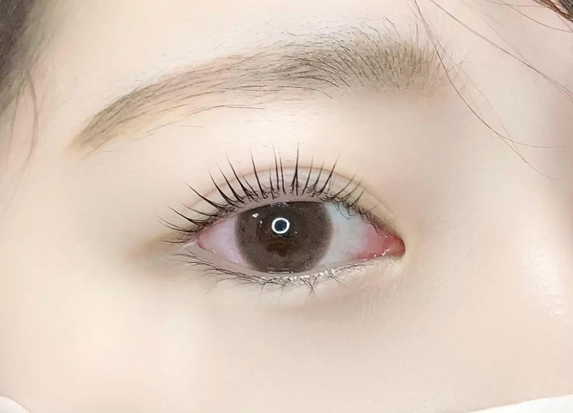 マツエク・マツパ パリジェンヌラッシュリフト マツパ eyelash "Koa"🕊🤎のマツエク・マツパデザイン