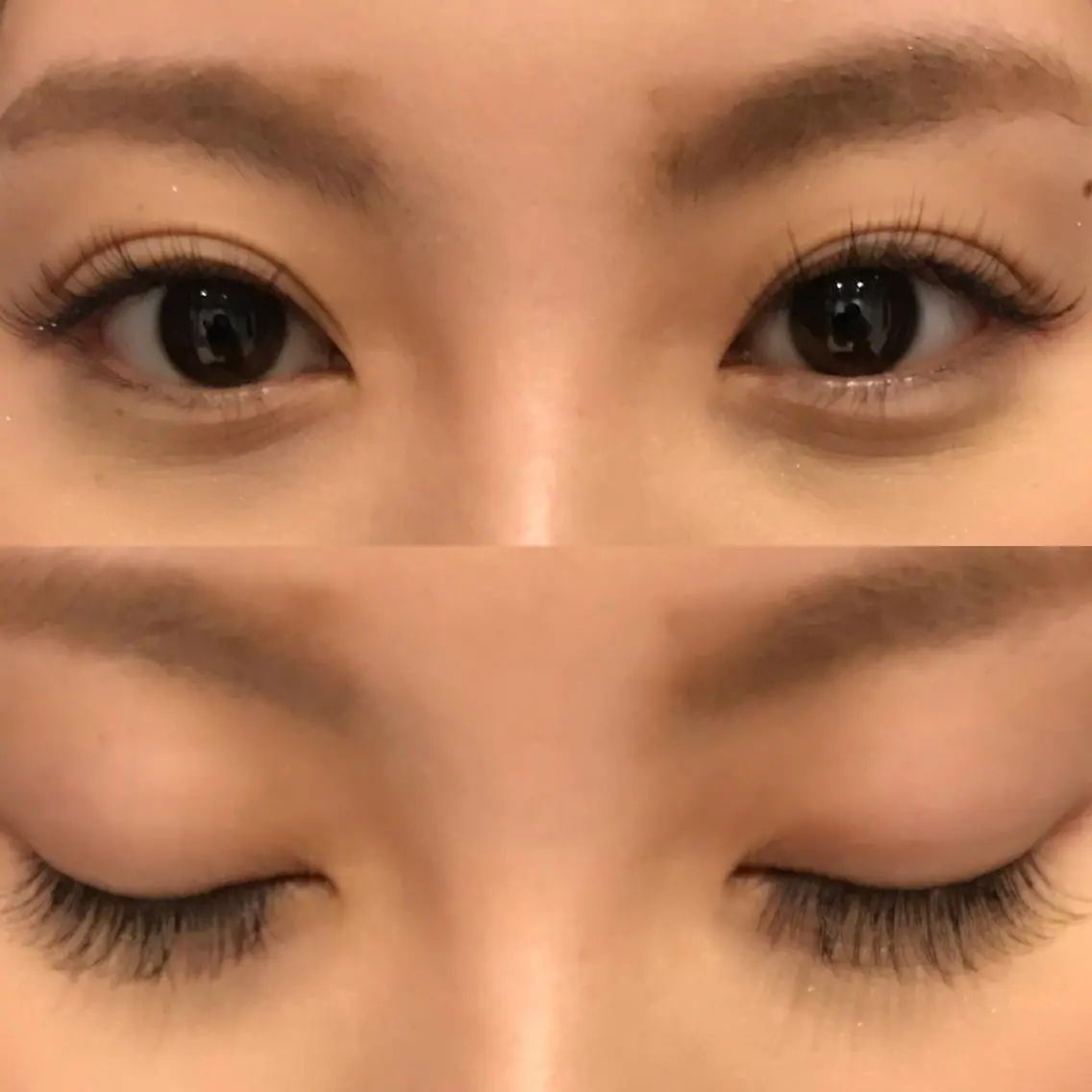 マツエク・マツパ キュート セーブル eight eyelashの眉毛・アイブロウイメージ