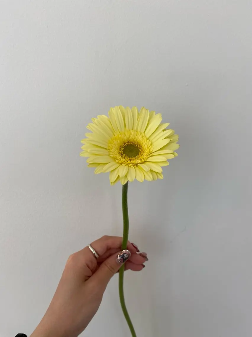 カット ヘアカラー トリートメント 🌻花屋併設🌻濱 幸帆のヘアスタイル