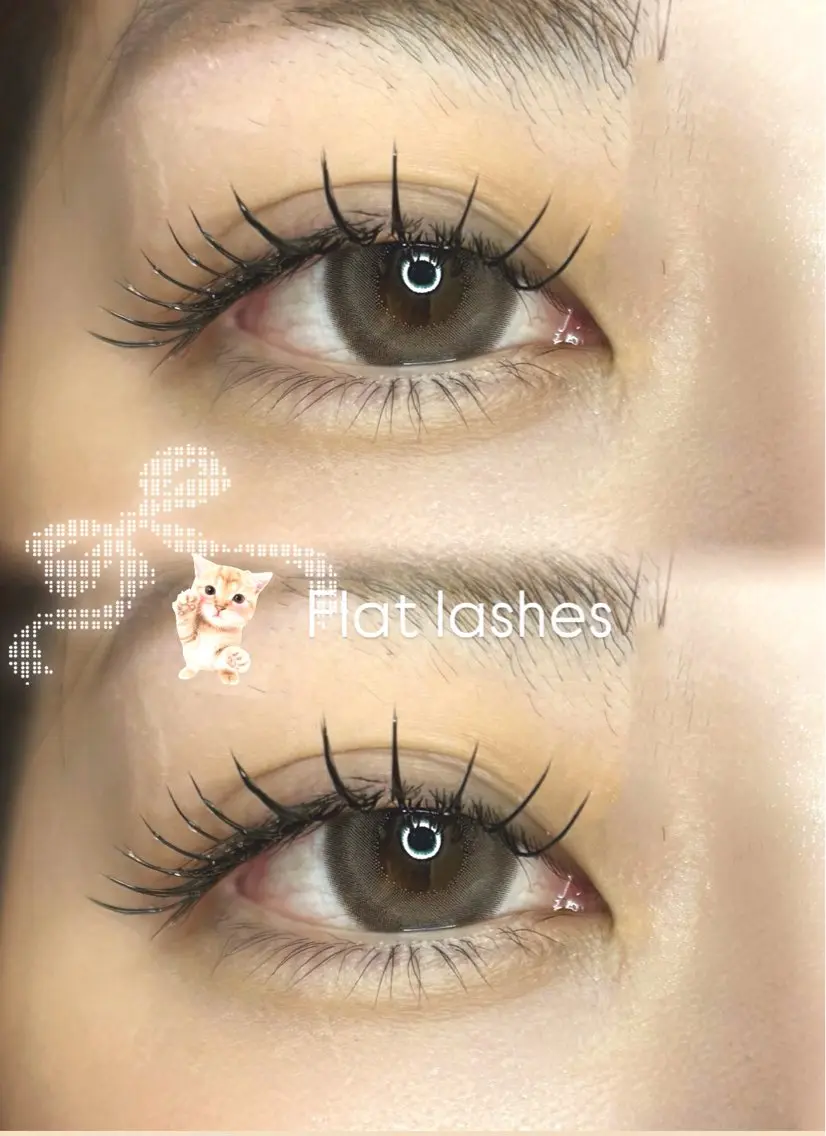 マツエク・マツパ マツエク EYELA長岡 加藤の眉毛・アイブロウイメージ