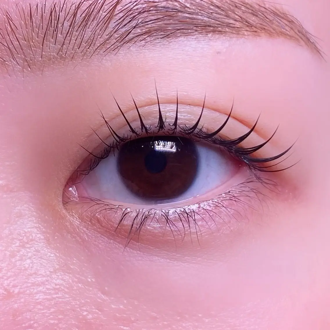 マツエク・マツパ eyelash mieuxのマツエク・マツパデザイン