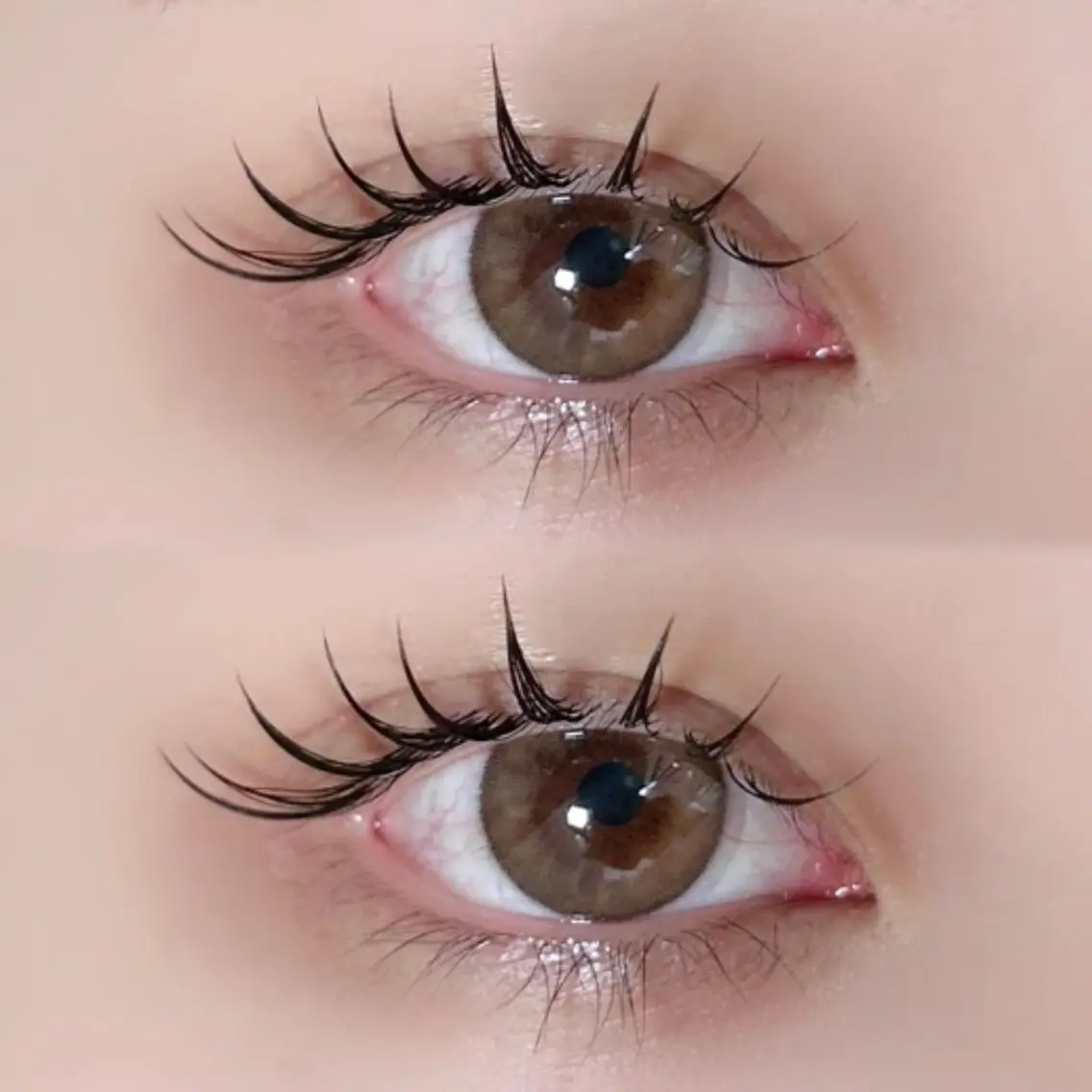 フラットラッシュ100本の写真