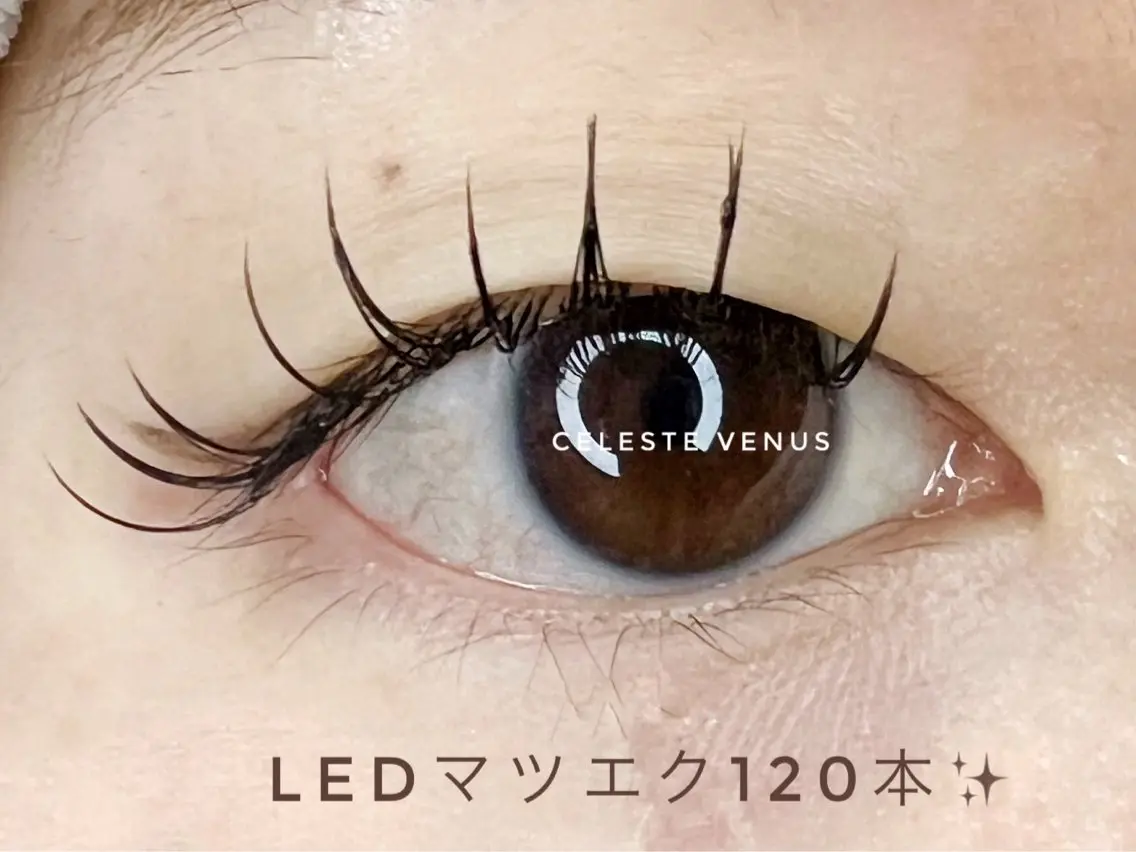 マツエク・マツパ 🧸Celeste Venusのマツエク・マツパデザイン