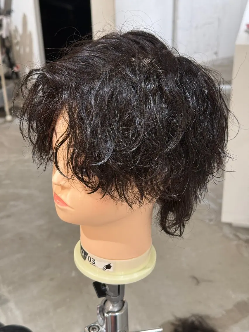パーマ ウルフカット 新城 駿之介のヘアスタイル