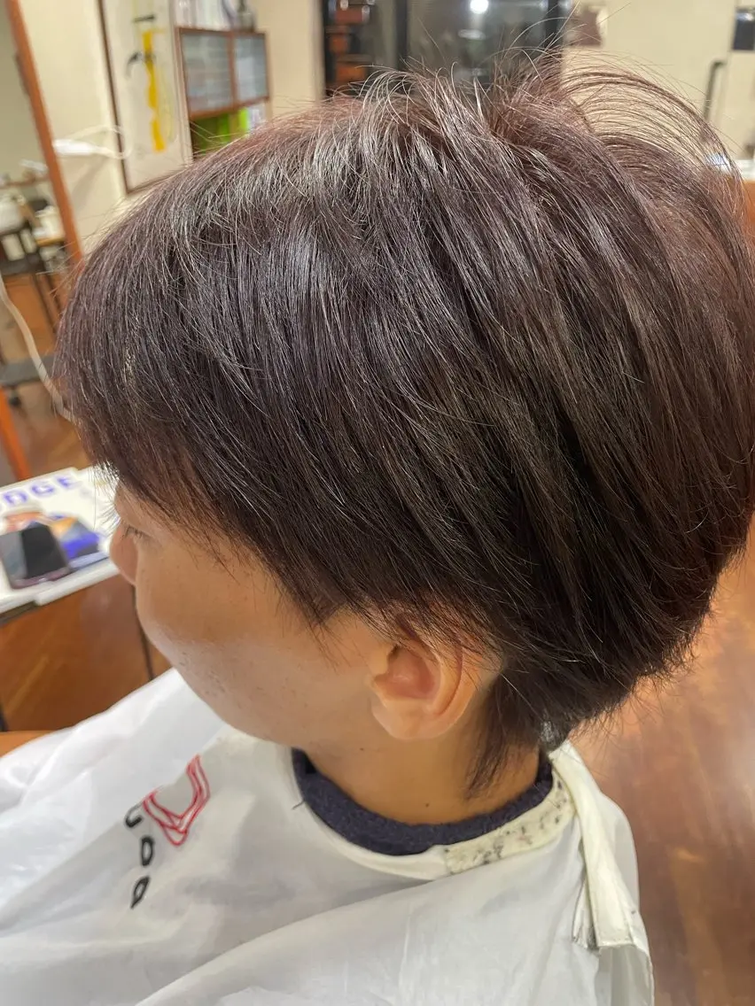 ショート カラー メンズ メンズブリーチ ブリーチ ブラウンカラー パープルカラー パープルブラウン 浅岡 昭汰のヘアスタイル