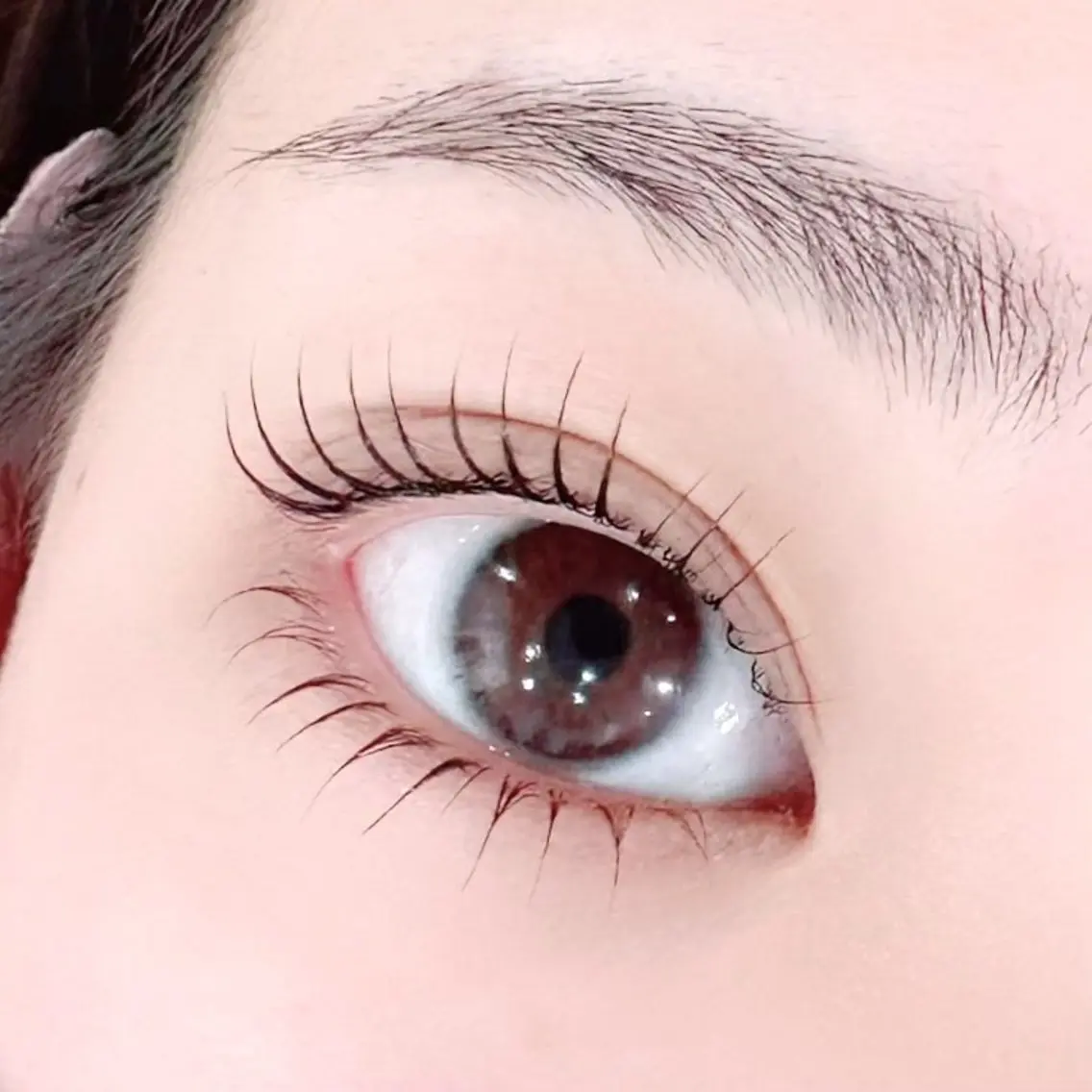 【ミニモ限定】ラッシュリフト上下　4980円の写真