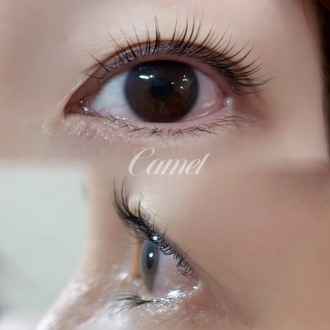 マツエク・マツパ マツパ Camel maoのマツエク・マツパデザイン