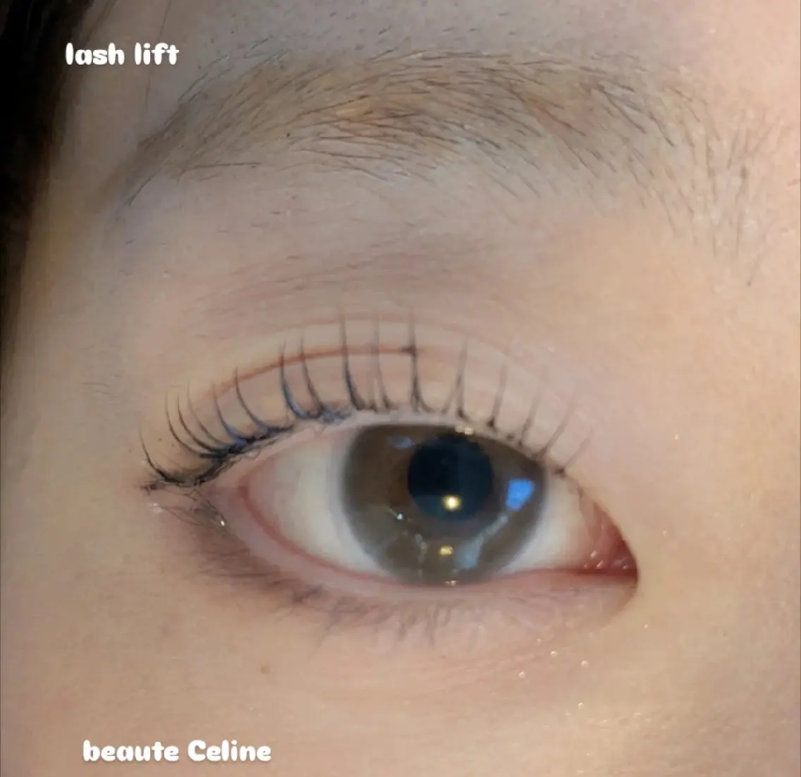 マツエク・マツパ マツパ LED✨beaute Celine🌛🌹のマツエク・マツパデザイン