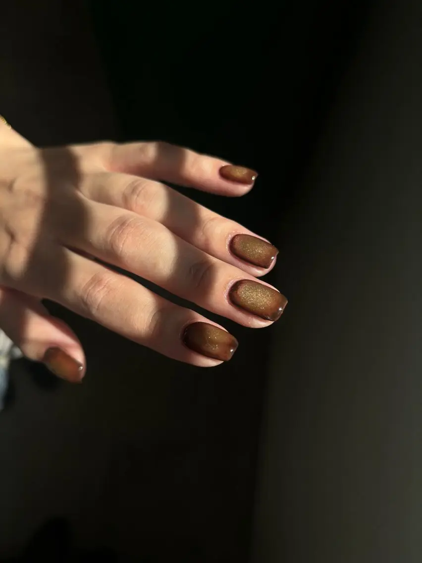 ネイル ブラウン マグネットネイル ハンドネイル chika / nailのネイルデザイン