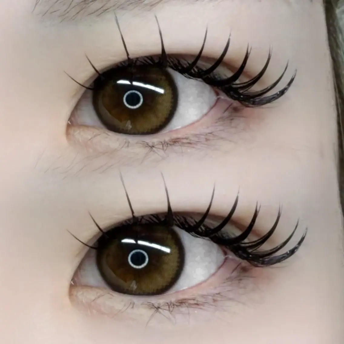 ダブルフラット60束120本の写真