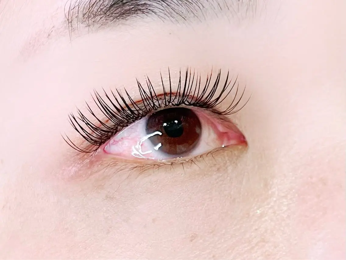 新規限定【高持続‼️】ダブルフラットラッシュ✨オフ込み100束程度(200本)の写真