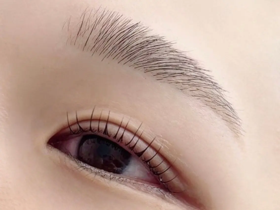 アイブロウ マツパ poka lash 奥村の眉毛・アイブロウイメージ